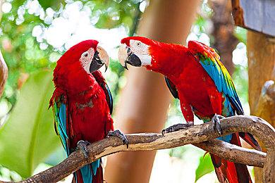 metacritic上半年游戏评分排名出炉 《33号远征队》排名第一